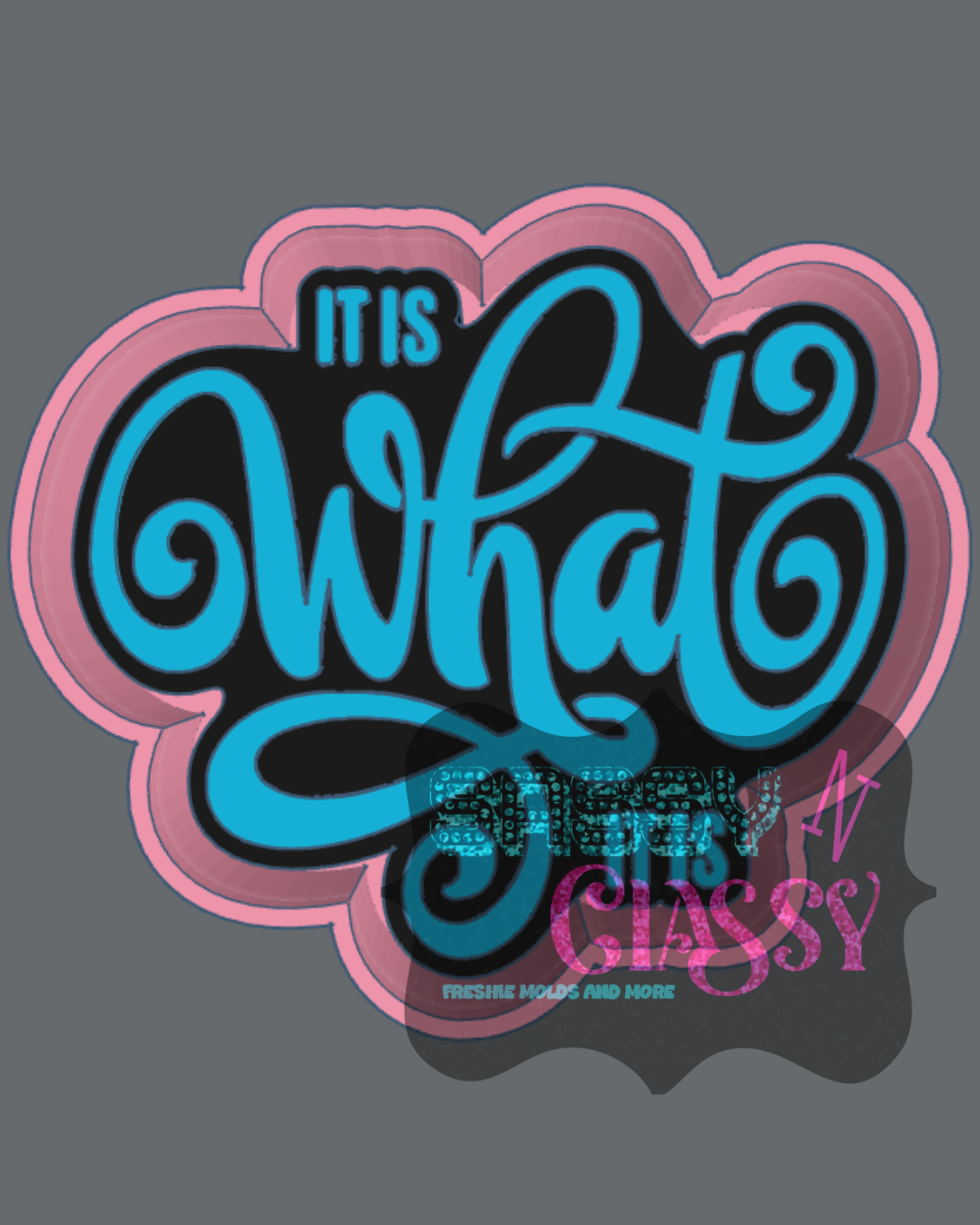 It Is What It Is Freshie Mold