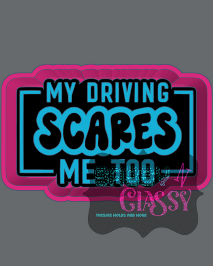 My Driving Scares Me Too Freshie Mold