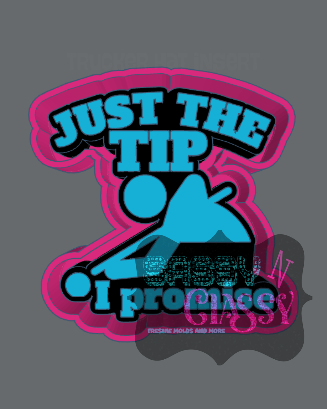 Just the Tip I Promise Pool Freshie Mold