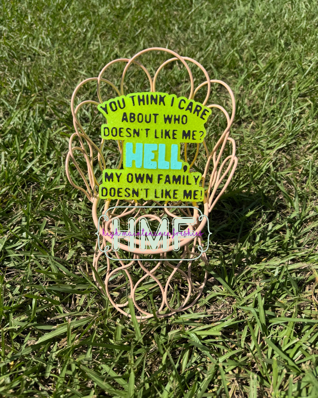 You Think I Care Who Doesn't Like Me Freshie Mold