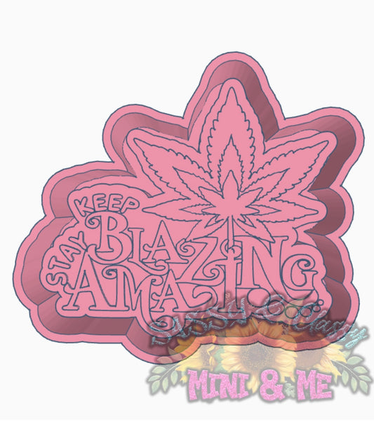 Stay Blazing Stay Amazing Freshie Mold